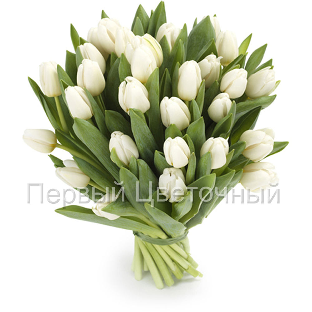 Букет белых тюльпанов  в Ставрополе