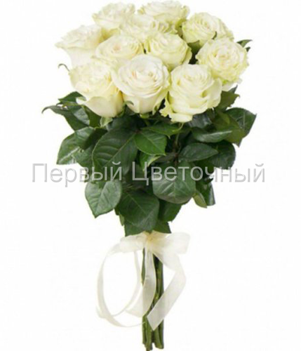 Элитные белые высокие голландские розы (80 см., 90 см.) в Ставрополе