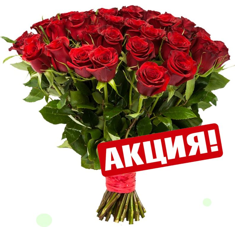 Букет из красных коротких роз. От 15 роз (Высота 40 см.) в Ставрополе