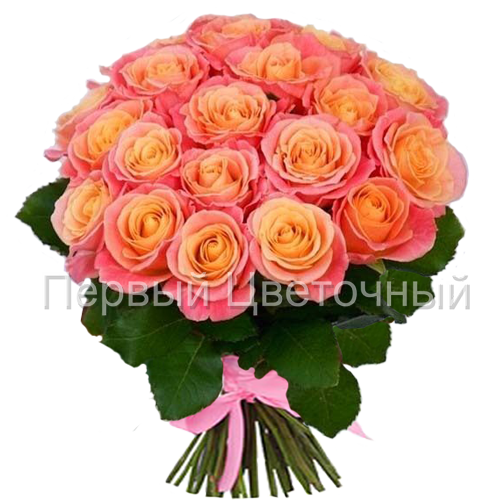 Персиковые розы "Мисс Пигги" (50, 60, 70 см. Россия) в Ставрополе