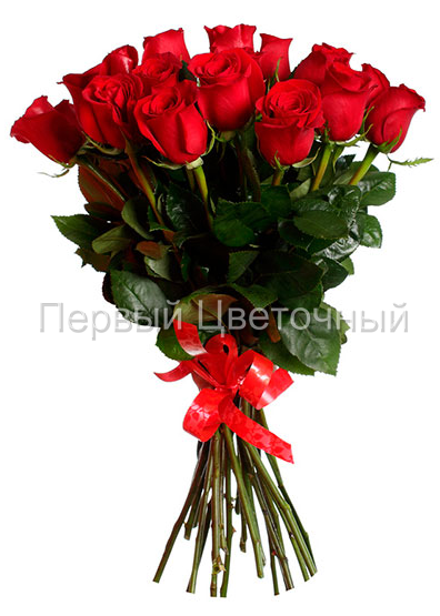Элитные красные высокие импортные розы (80 см., 90 см.) в Ставрополе
